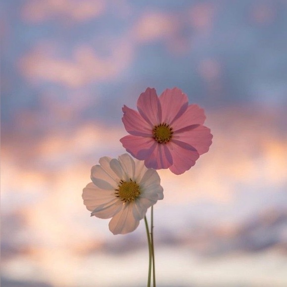 Hey! Welcome to my online closet. I accept almost every single reasonable offer. - Picture 1 of 1